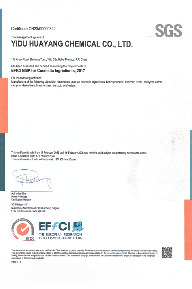EFfCI GMP